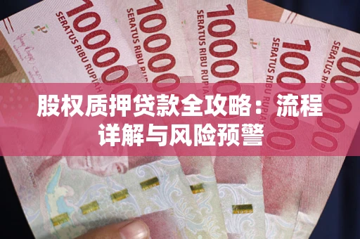 北京股权质押贷款全攻略：流程详解与风险预警