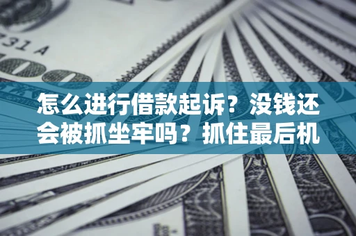 北京怎么进行借款起诉？没钱还会被抓坐牢吗？抓住最后机会！