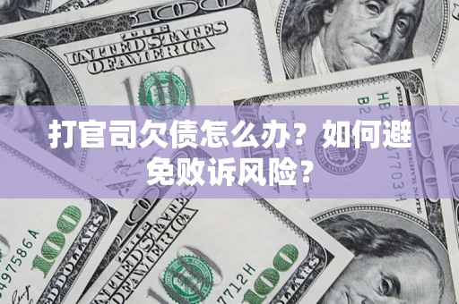 北京打官司欠债怎么办？如何避免败诉风险？