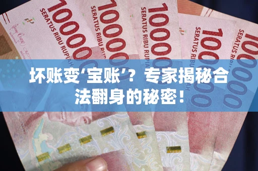 北京坏账变‘宝账’？专家揭秘合法翻身的秘密！