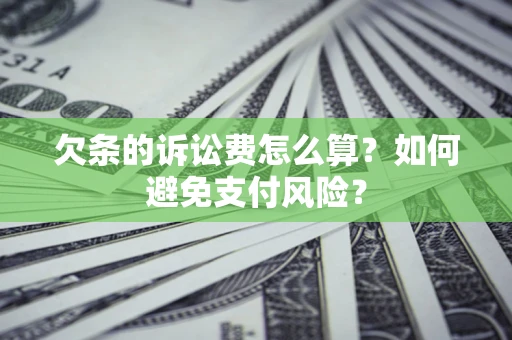 北京欠条的诉讼费怎么算？如何避免支付风险？